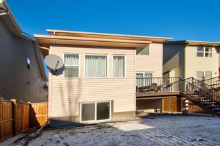 Photo 36: 91 Chaparral Valley Way SE in Calgary: Chaparral Detached for sale : MLS®# A1166098