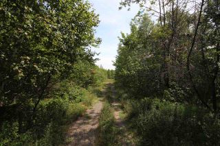 Photo 9: 9066 Highway 215 in Pembroke: 403-Hants County Vacant Land for sale (Annapolis Valley)  : MLS®# 202015557