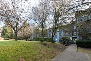 Photo 1: 133 200 WESTHILL Place in Port Moody: College Park PM Condo for sale in "WESTHILL" : MLS®# R2747743