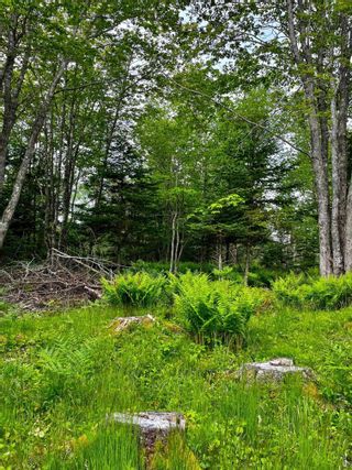Photo 5: 70 Stonehurst Road in Blue Rocks: 405-Lunenburg County Vacant Land for sale (South Shore)  : MLS®# 202205228