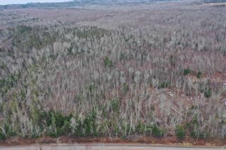 Photo 2: Lot Heathbell Road in Scotch Hill: 108-Rural Pictou County Vacant Land for sale (Northern Region)  : MLS®# 202220640