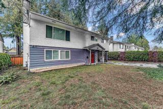 Photo 34: 10813 85A Avenue in Delta: Nordel House for sale in "Nordel" (N. Delta)  : MLS®# R2851762