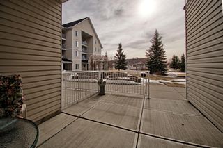 Photo 45: 107 305 1 Avenue NW: Airdrie Apartment for sale : MLS®# A1194619