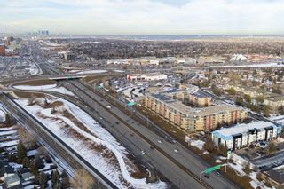 Photo 31: 6310 11811 Lake Fraser Drive SE in Calgary: Lake Bonavista Apartment for sale : MLS®# A2105656