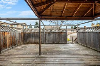 Photo 45: 1004 McKinnon Drive NE in Calgary: Mayland Heights Semi Detached (Half Duplex) for sale : MLS®# A2085971