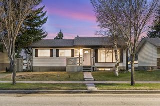 Main Photo: 3035 Dover Ridge Drive SE in Calgary: Dover Detached for sale : MLS®# A1215610