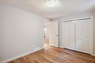 Photo 48: 245 Kincora Heights NW in Calgary: Kincora Detached for sale : MLS®# A1251924