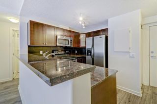 Photo 6: 206 728 3 Avenue NW in Calgary: Sunnyside Apartment for sale : MLS®# A2054337