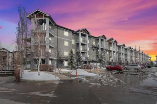Photo 1: 2108 115 Prestwick Villas SE in Calgary: McKenzie Towne Apartment for sale : MLS®# A2120617