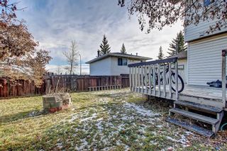 Photo 5: 7 PINEBROOK Place NE in Calgary: Pineridge Detached for sale : MLS®# C4221689