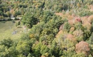 Photo 6: 5350 Highway 12 Highway in New Ross: 405-Lunenburg County Vacant Land for sale (South Shore)  : MLS®# 202225094