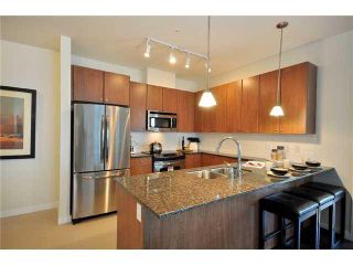 Photo 2: 203 250 FRANCIS Way in New Westminster: Fraserview NW Condo for sale in "THE GROVE" : MLS®# V1137423