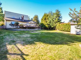 Photo 5: 3974 Dillman Rd in CAMPBELL RIVER: CR Campbell River South House for sale (Campbell River)  : MLS®# 771784