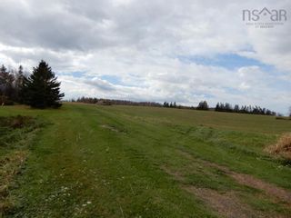 Photo 11: 55 acres Highway 6 in Toney River: 108-Rural Pictou County Vacant Land for sale (Northern Region)  : MLS®# 202224296