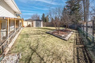 Photo 44: 443 Silvergrove Drive NW in Calgary: Silver Springs Detached for sale : MLS®# A2045389