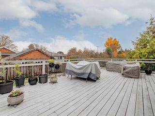 Photo 19: 2707 Forbes St in Victoria: Vi Oaklands House for sale : MLS®# 948428