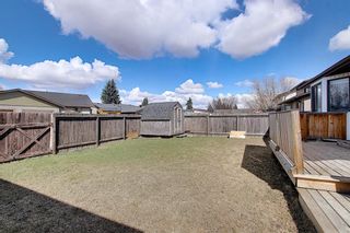 Photo 38: 2166 Summerfield Boulevard SE: Airdrie Detached for sale : MLS®# A1094543