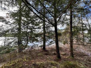 Photo 15: Lot 24 Domino Drive in Westfield: Vacant Land for sale : MLS®# 202325277