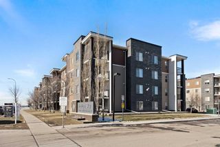 Photo 2: 404 7130 80 Avenue NE in Calgary: Saddle Ridge Apartment for sale : MLS®# A2111706