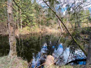Photo 4: 1815 HARMAN Road: Roberts Creek Land for sale (Sunshine Coast)  : MLS®# R2614266