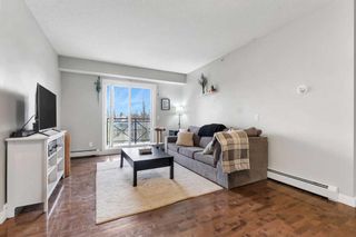 Photo 6: 304 117 19 Avenue NE in Calgary: Tuxedo Park Apartment for sale : MLS®# A2130812
