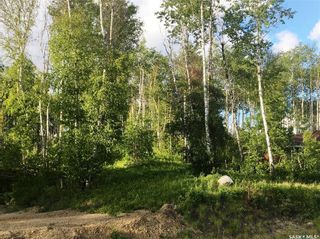 Photo 13: Lot 28 Tranquility Trail in Big River: Lot/Land for sale (Big River Rm No. 555)  : MLS®# SK887886