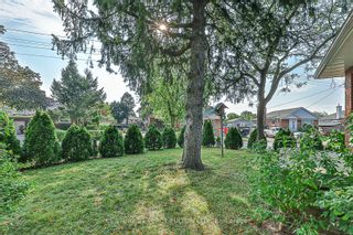 Photo 30: 21 Willowhurst Crescent in Toronto: Wexford-Maryvale House (Bungalow) for sale (Toronto E04)  : MLS®# E7380262