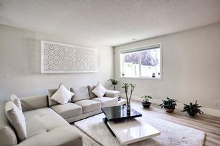 Photo 6: 1 1823 35 Street SE in Calgary: Southview Apartment for sale : MLS®# A2112539