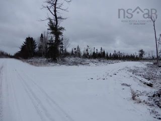 Photo 12: Gunn Road in East Branch: 108-Rural Pictou County Vacant Land for sale (Northern Region)  : MLS®# 202200105