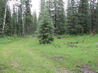 Photo 37: 70041 Highway 591: Rural Clearwater County Detached for sale : MLS®# C4305359