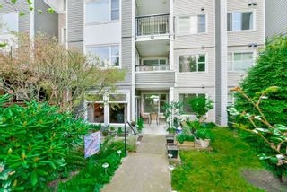Photo 17: 108 6888 SOUTHPOINT Drive in Burnaby: South Slope Condo for sale in "CORTINA" (Burnaby South)  : MLS®# R2053007