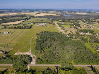 Photo 7: Lot 8 206030 96 Street W: Rural Foothills County Residential Land for sale : MLS®# A1251780