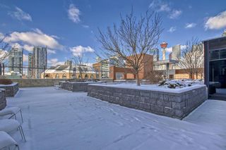 Photo 19: 1006 1320 1 Street in Calgary: Beltline Apartment for sale : MLS®# A2106436