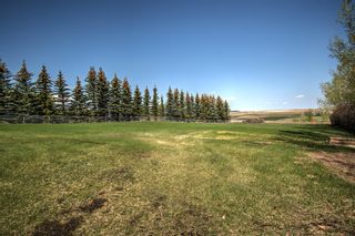 Photo 41: 42 Buffalo Rub Place: Airdrie Detached for sale : MLS®# A2048021