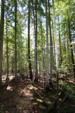 Photo 17: Lot 212 Estate Place in Anglemont: North Shuswap Land Only for sale : MLS®# 10233839