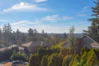 Photo 43: 1225 Tall Tree Pl in Saanich: SW Strawberry Vale House for sale (Saanich West)  : MLS®# 885986