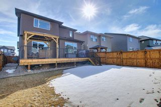 Photo 47: 210 Evansglen Drive NW in Calgary: Evanston Detached for sale : MLS®# A1080625