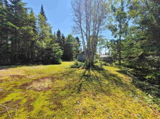 Photo 5: 120 Orchard Beach Road in Portapique: 104-Truro / Bible Hill Vacant Land for sale (Northern Region)  : MLS®# 202218461
