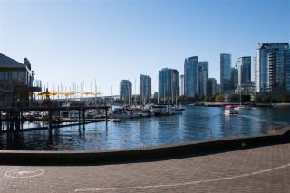 Photo 28: 407 456 MOBERLY Road in Vancouver: False Creek Condo for sale in "PACIFIC COVE" (Vancouver West)  : MLS®# R2497595