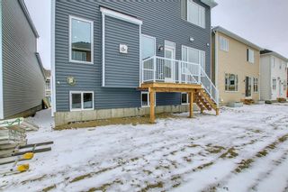 Photo 47: 157 Carrington Close NW in Calgary: Carrington Detached for sale : MLS®# A1206742