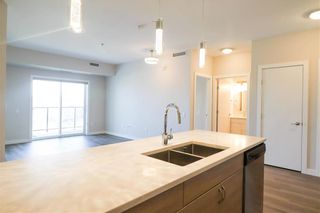 Photo 7: 210 80 Philip Lee Drive in Winnipeg: Crocus Meadows Condominium for sale (3K)  : MLS®# 202113062