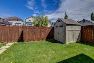 Photo 35: 175 Coverton Close NE in Calgary: Coventry Hills Detached for sale : MLS®# A1227151