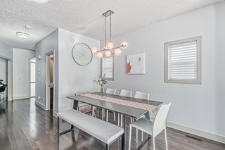Photo 19: 1435 22 Avenue NW in Calgary: Capitol Hill Semi Detached (Half Duplex) for sale : MLS®# A2054200