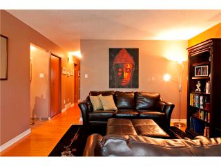Photo 35: 2007 50 Avenue SW in Calgary: North Glenmore House for sale : MLS®# C4022807