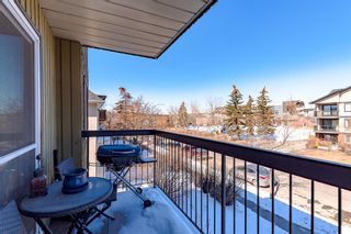 Photo 16: 203 1613 11 Avenue SW in Calgary: Sunalta Apartment for sale : MLS®# A2035749