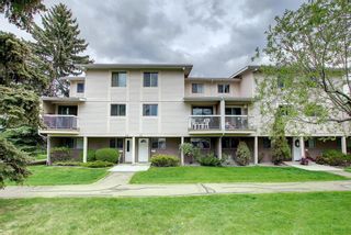 Photo 40: 45 3015 51 Street SW in Calgary: Glenbrook Row/Townhouse for sale : MLS®# A1221245