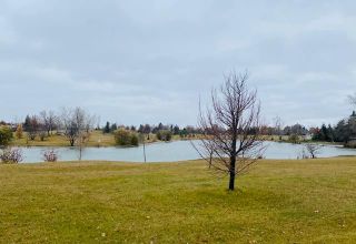 Photo 45: 11 Culross Bay in Winnipeg: Lakeside Meadows Residential for sale (3K)  : MLS®# 202227763