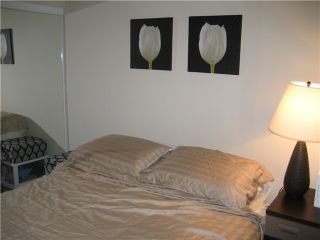Photo 8: 401 1212 HOWE Street in Vancouver: Downtown VW Condo for sale in "1212 HOWE" (Vancouver West)  : MLS®# V866406
