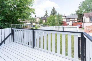Photo 12: 428 Templeview Drive NE in Calgary: Temple Semi Detached for sale : MLS®# A1236606