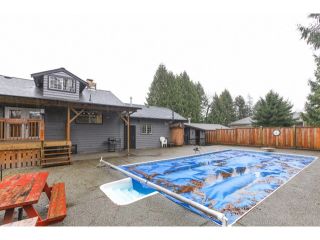 Photo 17: 12531 203RD Street in Maple Ridge: Northwest Maple Ridge House for sale : MLS®# V1102425